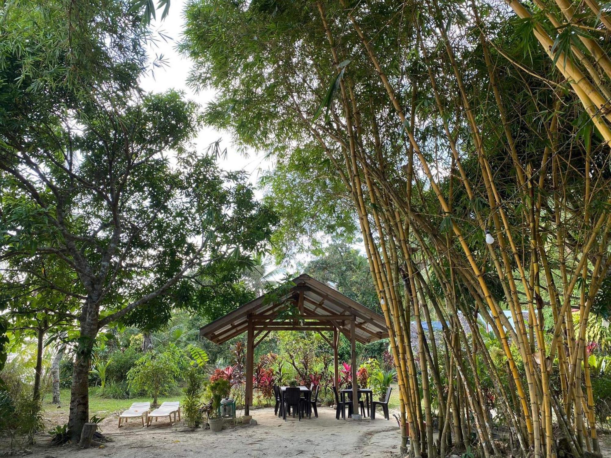 Port Barton - Paradiso Azul Campsite Beachfront With Internet サン・ヴィチェンテ エクステリア 写真
