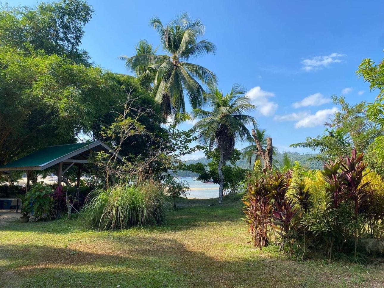 Port Barton - Paradiso Azul Campsite Beachfront With Internet サン・ヴィチェンテ エクステリア 写真