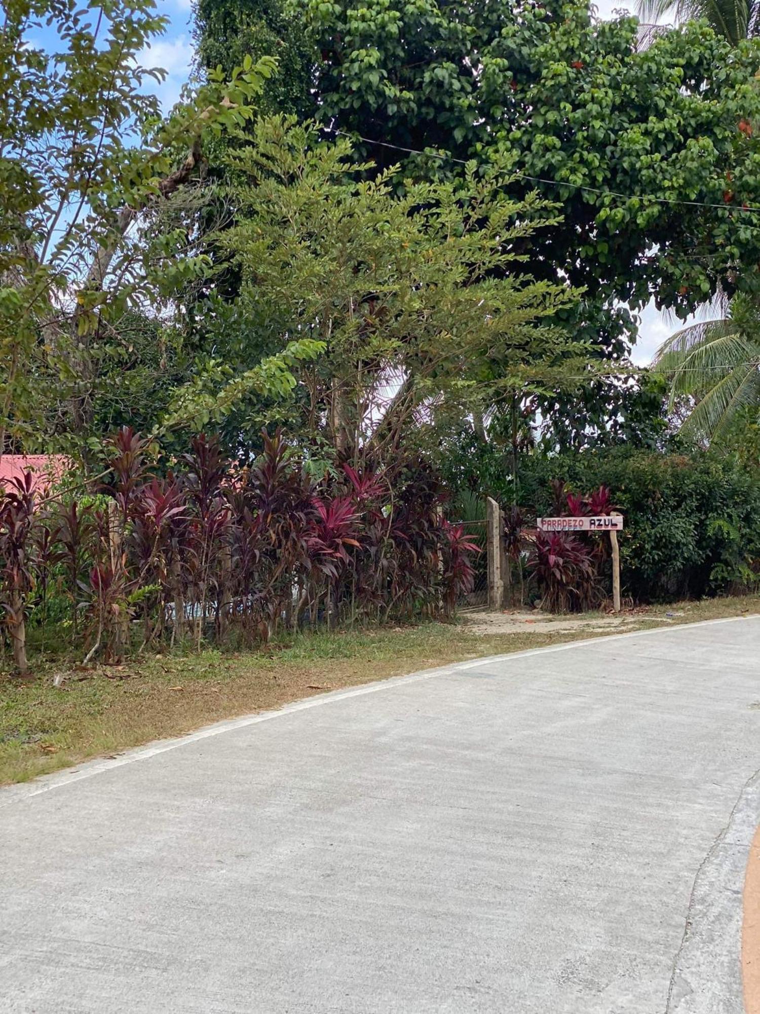 Port Barton - Paradiso Azul Campsite Beachfront With Internet サン・ヴィチェンテ エクステリア 写真