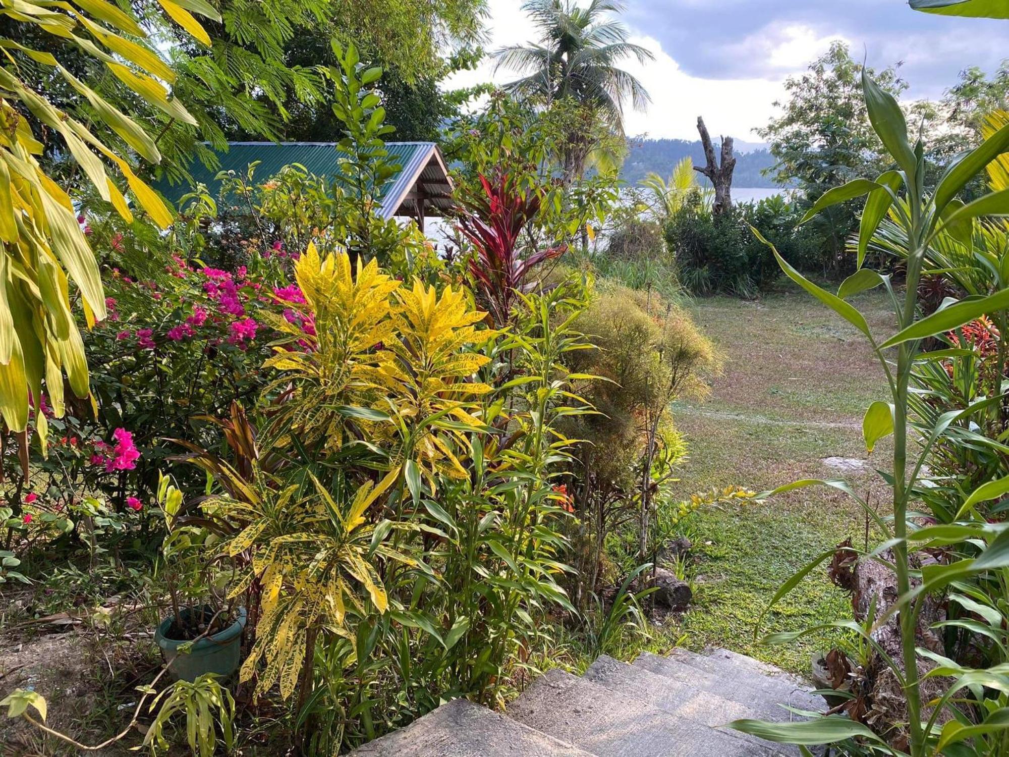 Port Barton - Paradiso Azul Campsite Beachfront With Internet サン・ヴィチェンテ エクステリア 写真