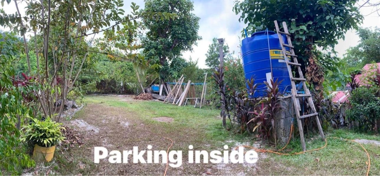 Port Barton - Paradiso Azul Campsite Beachfront With Internet サン・ヴィチェンテ エクステリア 写真