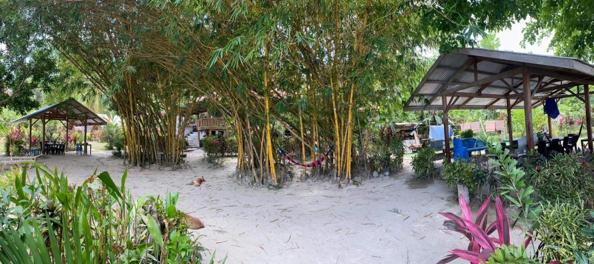 Port Barton - Paradiso Azul Campsite Beachfront With Internet サン・ヴィチェンテ エクステリア 写真