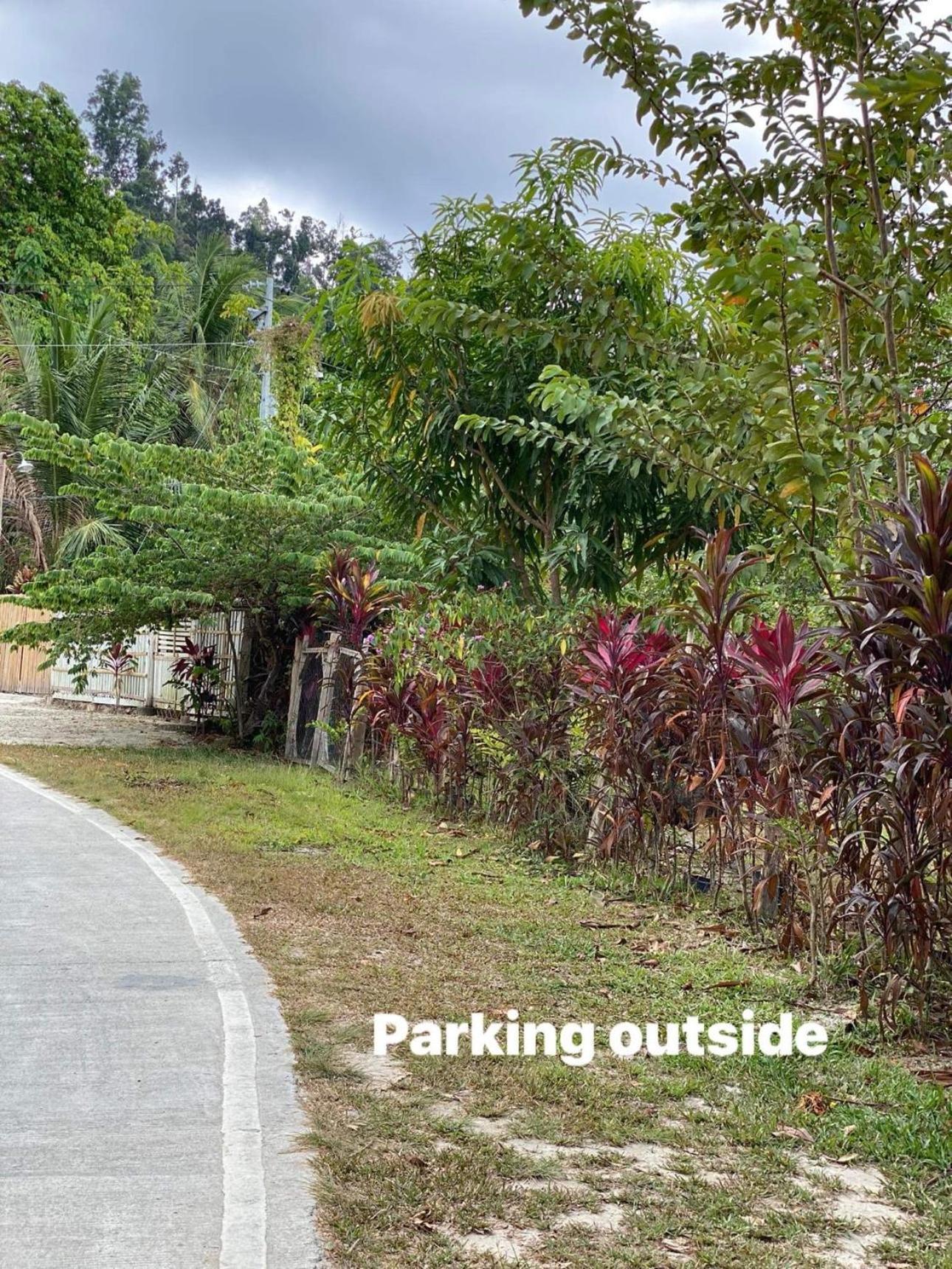 Port Barton - Paradiso Azul Campsite Beachfront With Internet サン・ヴィチェンテ エクステリア 写真