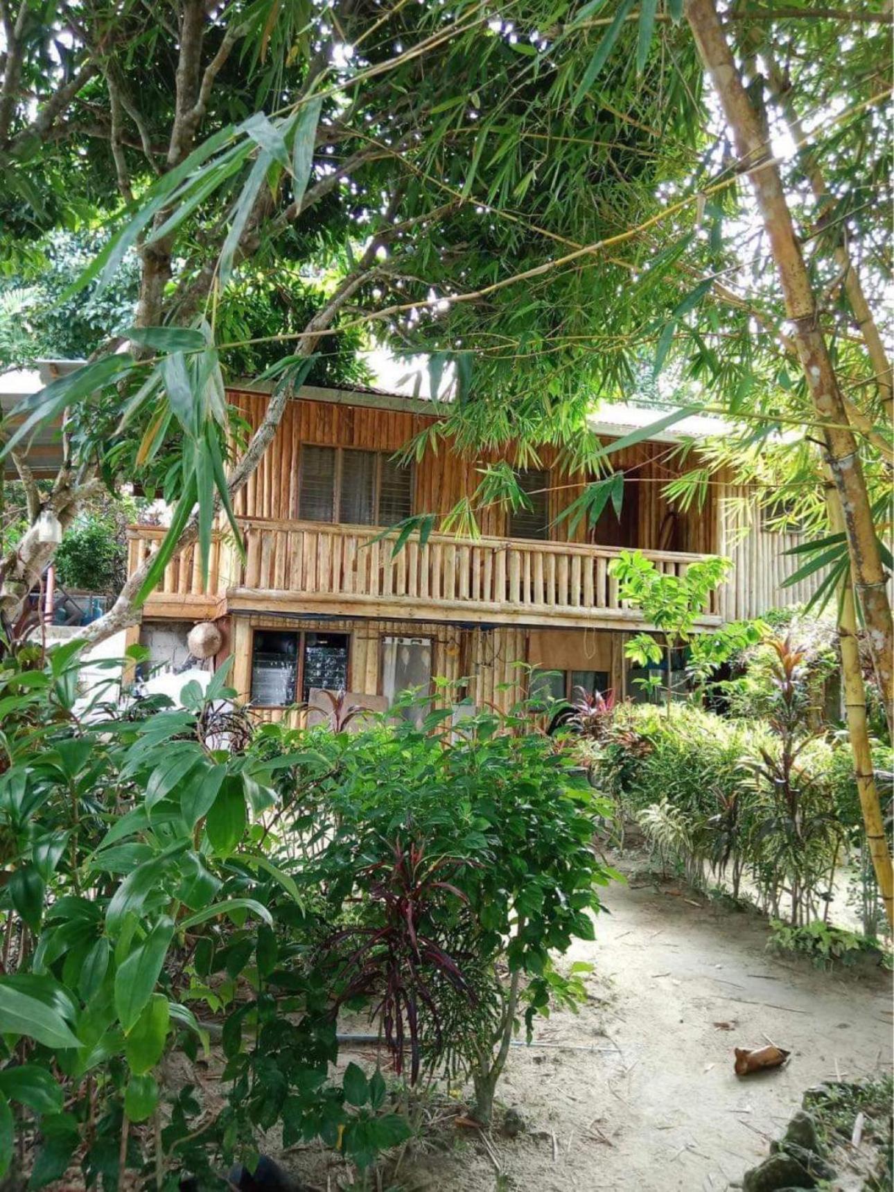 Port Barton - Paradiso Azul Campsite Beachfront With Internet サン・ヴィチェンテ エクステリア 写真