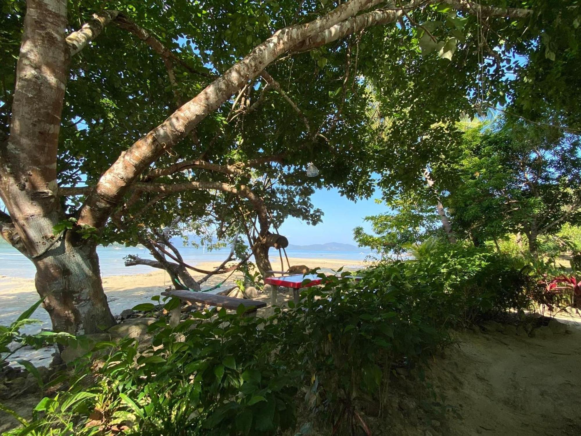 Port Barton - Paradiso Azul Campsite Beachfront With Internet サン・ヴィチェンテ エクステリア 写真