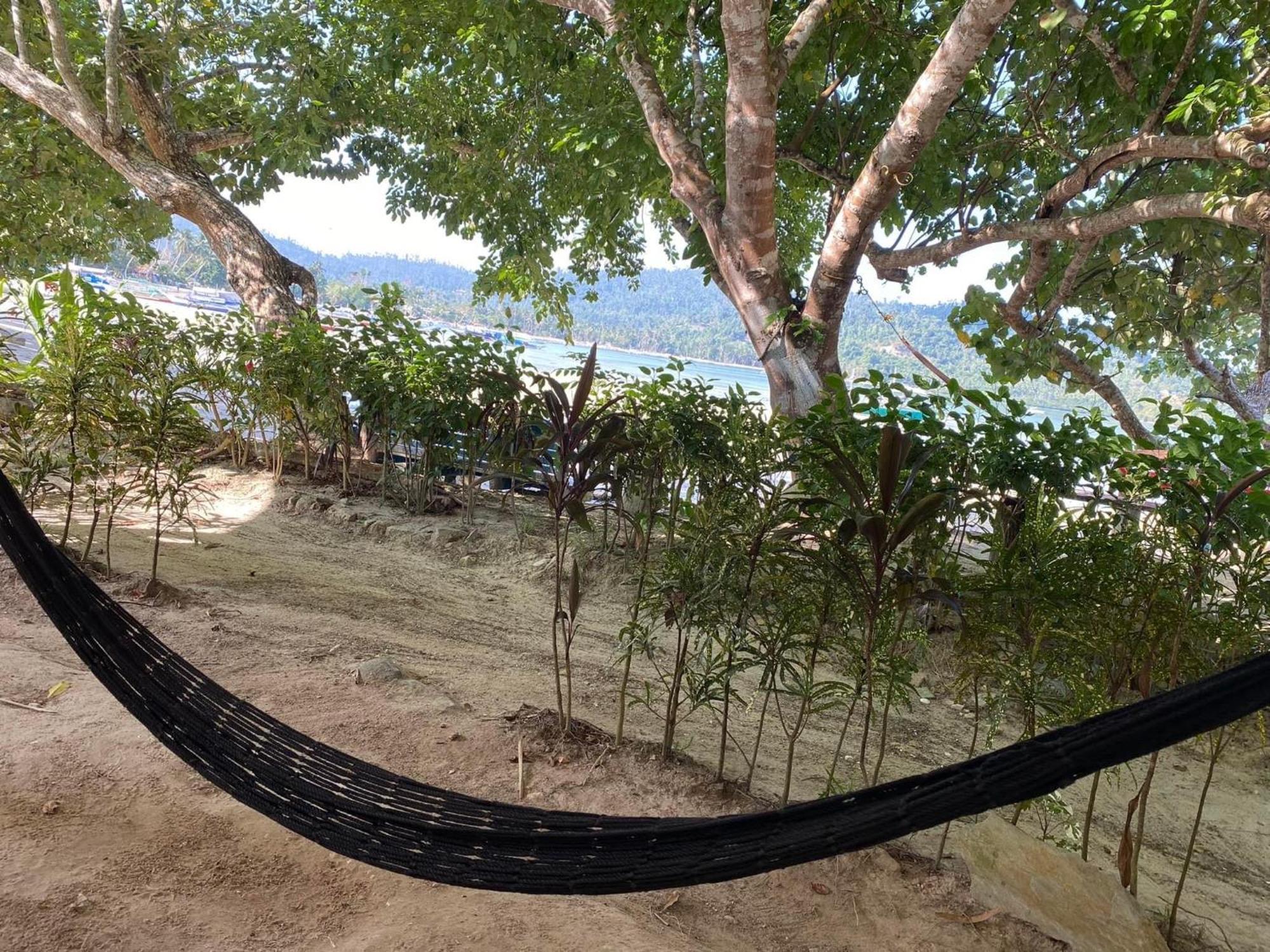 Port Barton - Paradiso Azul Campsite Beachfront With Internet サン・ヴィチェンテ エクステリア 写真