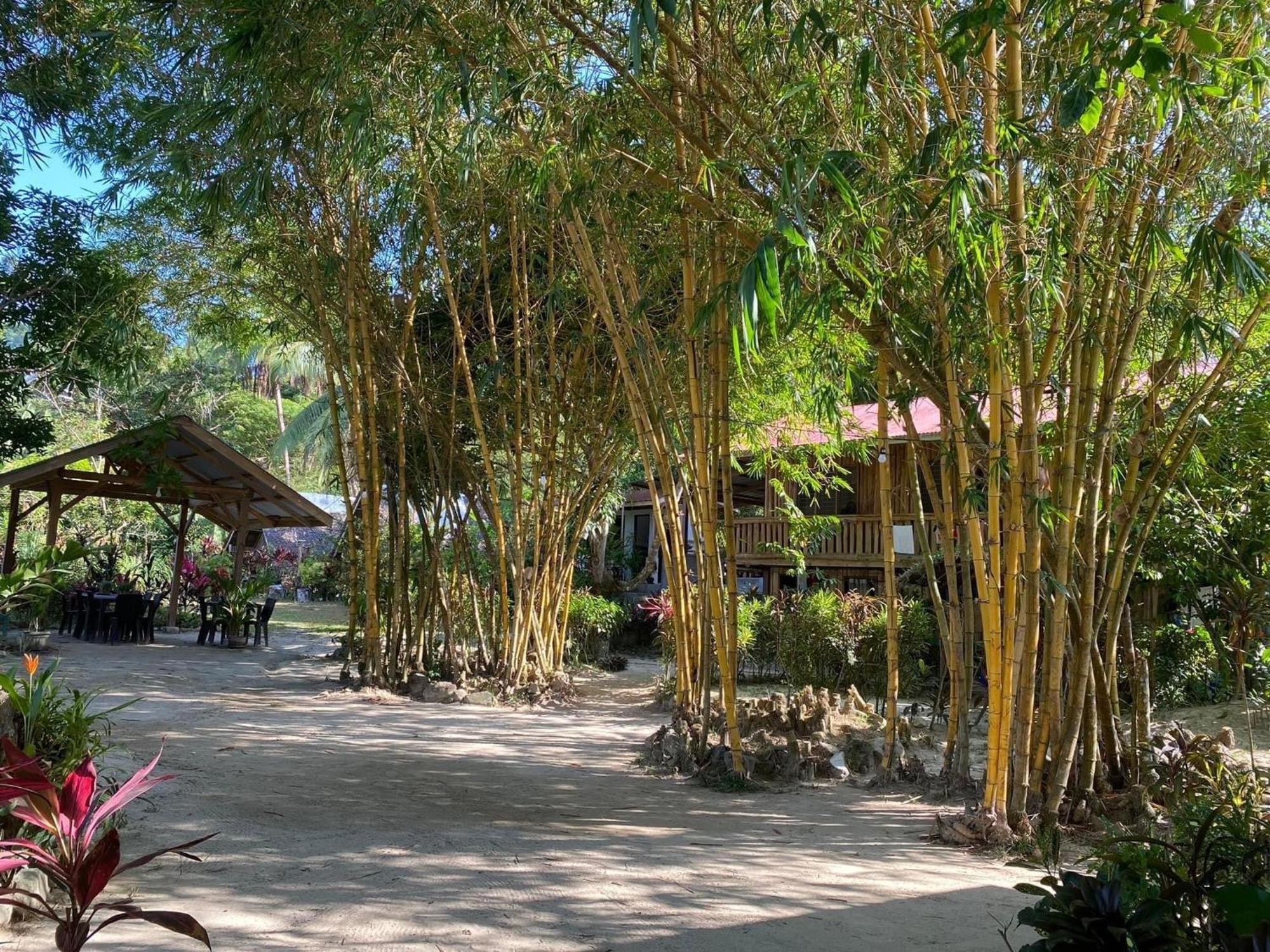 Port Barton - Paradiso Azul Campsite Beachfront With Internet サン・ヴィチェンテ エクステリア 写真
