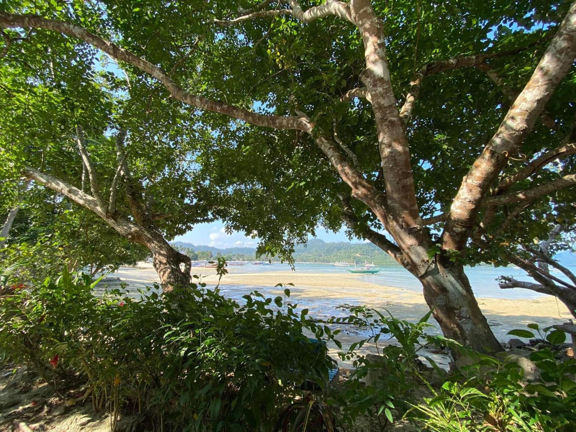 Port Barton - Paradiso Azul Campsite Beachfront With Internet サン・ヴィチェンテ エクステリア 写真